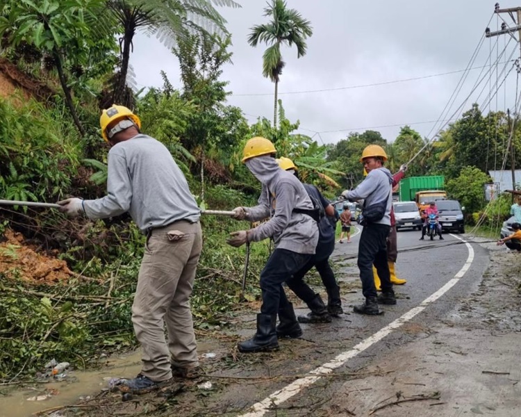 Tim PLN terus bekerja keras memulihkan jaringan lisdtrik